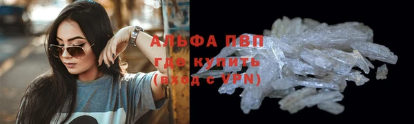 стафф Новосибирск
