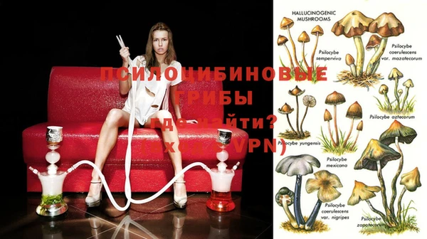 индика Корсаков