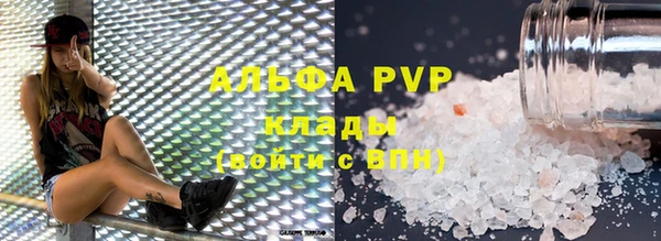 индика Корсаков