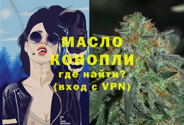 индика Корсаков