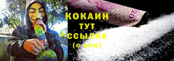 прущие грибы Санкт-Петербург