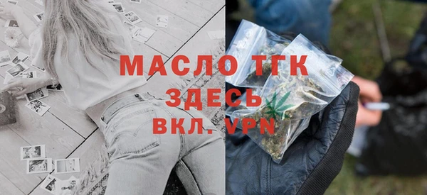 индика Корсаков