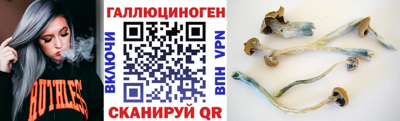 где продают наркотики  Туринск  это Telegram  Псилоцибиновые грибы MAGIC MUSHROOMS 