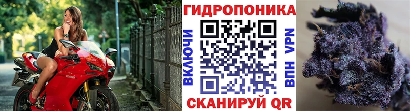 Бошки Шишки индика даркнет сайт Туринск